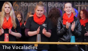 Vatertag SOB 2014